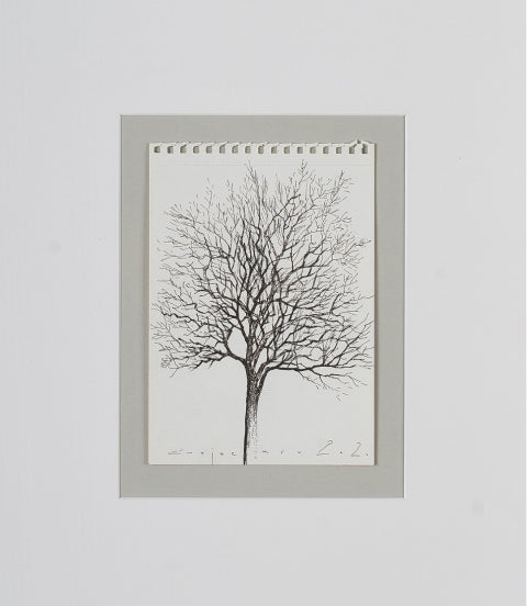 Arbor