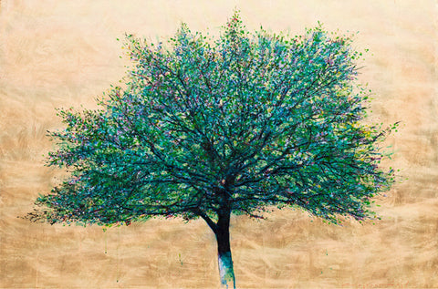 Mezzogiorno